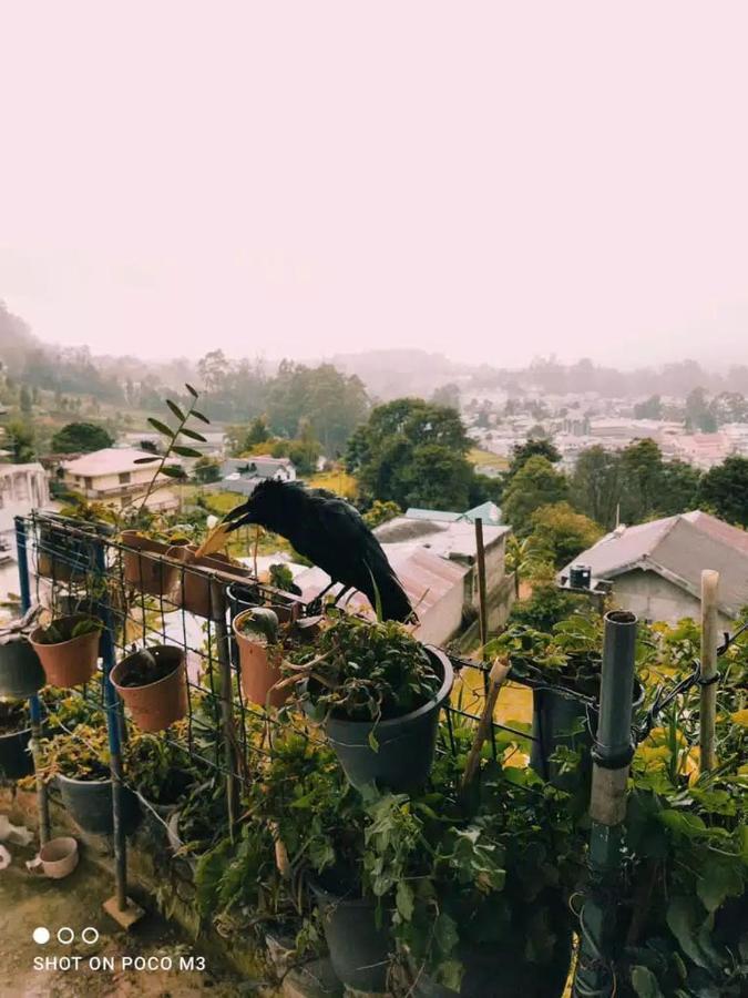 La Rose Guest House Nuwara Eliya Eksteriør bilde